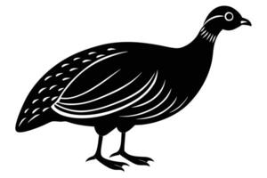 Guinea Fowl Bird Silhouette, silhouette of Guinea Fowls in different positions vector