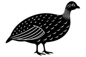 Guinea Fowl Bird Silhouette, silhouette of Guinea Fowls in different positions vector