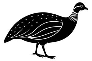Guinea Fowl Bird Silhouette, silhouette of Guinea Fowls in different positions vector