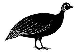 Guinea Fowl Bird Silhouette, silhouette of Guinea Fowls in different positions vector