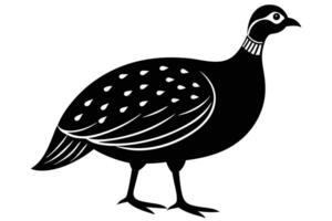Guinea Fowl Bird Silhouette, silhouette of Guinea Fowls in different positions vector