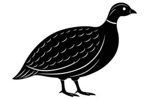 Guinea Fowl Bird Silhouette, silhouette of Guinea Fowls in different positions vector