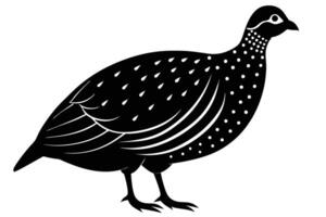 Guinea Fowl Bird Silhouette, silhouette of Guinea Fowls in different positions vector