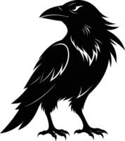 A black raven standing on a white background vector