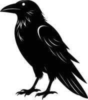 A black raven standing on a white background vector