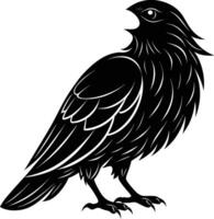 A black raven standing on a white background vector