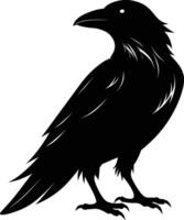 A black raven standing on a white background vector