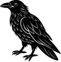 A black raven standing on a white background vector