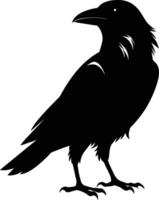 A black raven standing on a white background vector