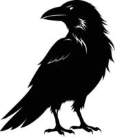 A black raven standing on a white background vector