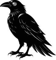 A black raven standing on a white background vector