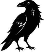A black raven standing on a white background vector