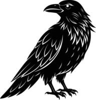A black raven standing on a white background vector