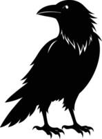 A black raven standing on a white background vector