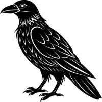 A black raven standing on a white background vector