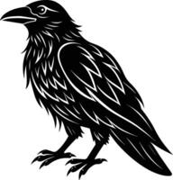 A black raven standing on a white background vector