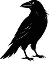 A black raven standing on a white background vector