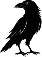 A black raven standing on a white background vector