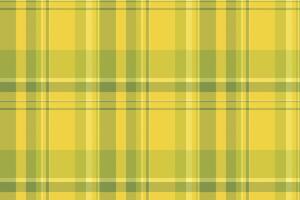 check plaid of background textile tartan with a fabric texture pattern seamless. vector