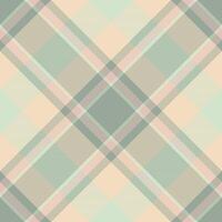 Plaid fabric tartan of check texture with a background seamless pattern textile. vector