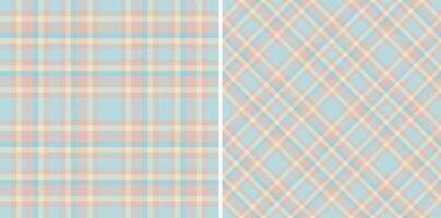 Seamless texture textile of background tartan with a fabric check pattern plaid. vector