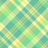 November texture plaid seamless, decorating tartan textile . Nostalgia fabric pattern background check in mint and green colors. vector