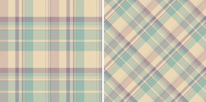 Pattern textile seamless of texture check with a tartan background plaid fabric. vector