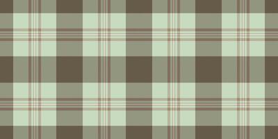 Mesh check tartan , warp background pattern texture. Factory textile seamless plaid fabric in pastel and light colors. vector