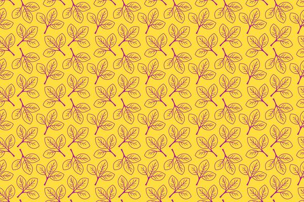 Hand drawn floral pattern design. Simple ornament with plant and leaf.