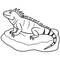 jungle animal coloring pages vector