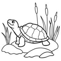 Sea turtle coloring pages. sea green turtle on white background. Curve lines. Page of coloring book. vector