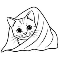 Cat kitten coloring pages. Kitten outline for kids book vector