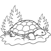 Sea turtle coloring pages. sea green turtle on white background. Curve lines. Page of coloring book. vector