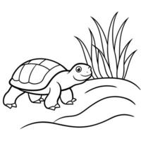 Sea turtle coloring pages. sea green turtle on white background. Curve lines. Page of coloring book. vector