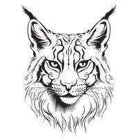 Lynx. Sketch, drawn, graphic portrait of a lynx head vector