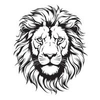 Lion. Sketchy, graphical, black and white portrait of a lions head on a white background. vector