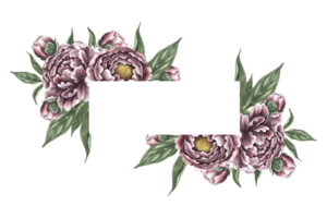 Peonies in vintage style. Rectangular floral border frame. Hand-made watercolor illustration. Isolate it. The design element of the postcard, label and packaging. For print and lettering. png