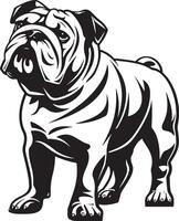 Bulldog standing silhouette illustration line art and white background vector