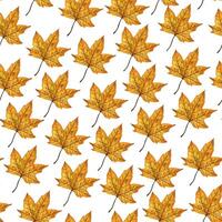 Seamless pattern with bright orange autumn leaf of a maple tree, hand drawn watercolor illustration isolated on white background. For textiles, postcards, greeting cards, invitations, backgrounds. vector