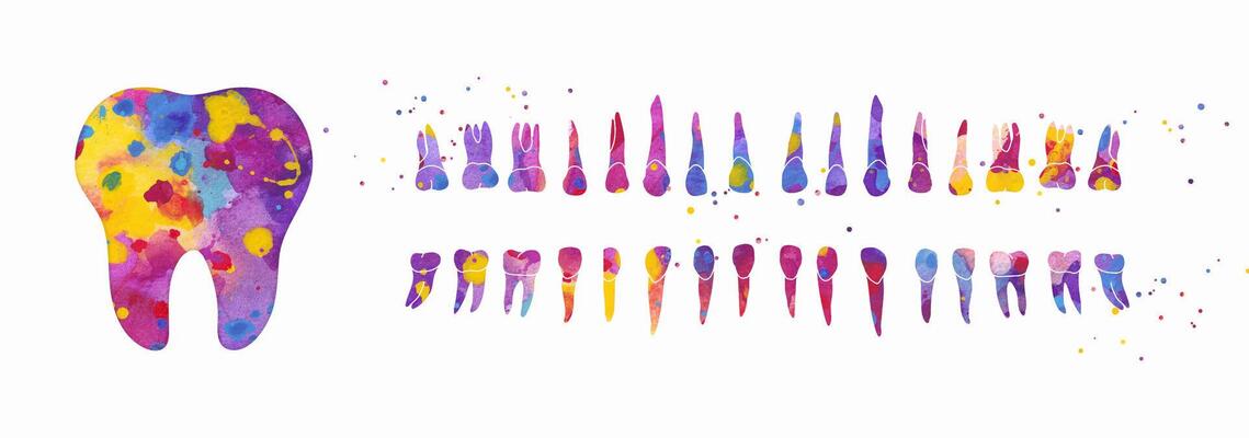 Tooth and Dental Row. colorful watercolor illustration