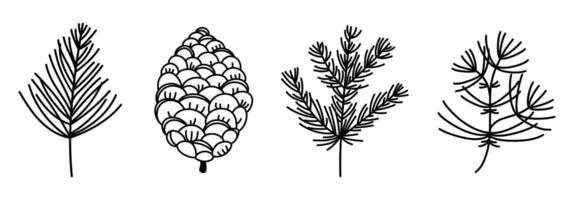 Coniferous branches and cones, icon set. Twigs of spruce, pine, cedar, fir. Evergreen forest plant, festive winter trees. Shrub with needles. Hand drawn black and white doodle, botanical sketch vector