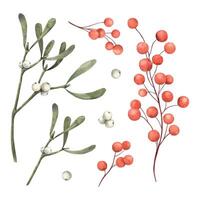 Collection of Christmas botanical elements, mistletoe and red berries. Watercolor isolated elements in realistic style. Suitable for Christmas cards, seasonal decorations and design projects. vector