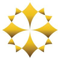 luxury golden geometric ornament vector
