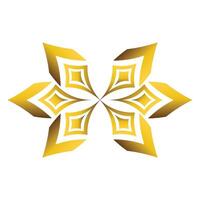 luxury golden geometric ornament vector
