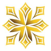 luxury golden geometric ornament vector