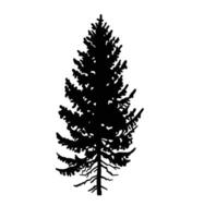Silhouette of a coniferous tree, fir tree, pine or spruce. illustration vector