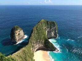 T-Rex at Nusa Penida Island in Bali. photo