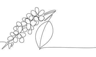 Branch of coffee beans one line continuous. Branch of coffee line art. Hand drawn art. vector