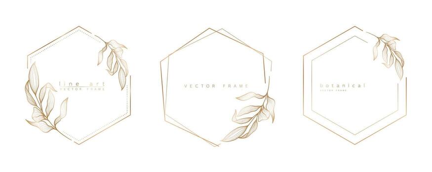 Set of hexagon frame templates in minimal linear style with hand drawn branches and leaves. Elegant polygon frame. Botanical illustration for labels, corporate identity, wedding invitation and logo. vector