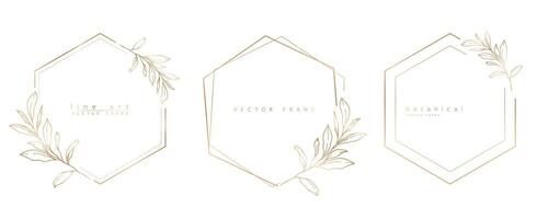 Set of hexagon frame templates in minimal linear style with hand drawn branches and leaves. Elegant polygon frame. Botanical illustration for labels, corporate identity, wedding invitation and logo. vector